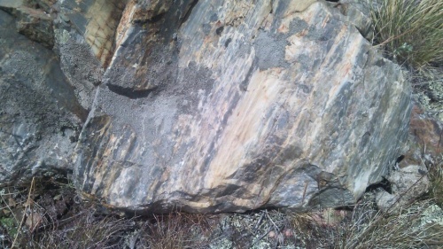 Гигантские зелёные валуны для ландшафтного дизайна весом более 5 тонн купить в Пущино